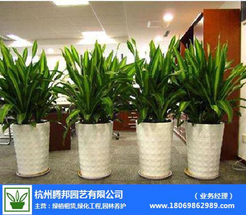 在纷繁的市场中,如何选择一家值得信赖的包月鲜花服务商?本文将通过对比分析,帮助您找到心仪的合作伙伴。