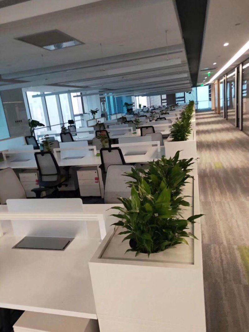 在繁忙的都市生活中,为办公室或家居添置一份清新自然之选——包月鲜花订阅服务越来越受到人们的青睐。面对琳琅满目的选择,如何挑选一个靠谱的供应商成为了一个问题。本文将通过对比评测的方式,帮助您找到最适合您的包月鲜花供应商。